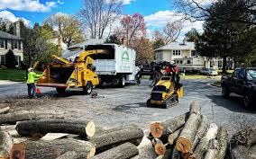 Best Tree Health Inspection  in Poncha Springs, CO